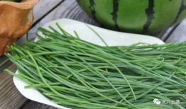 爆大瓜的网红吃的什么,揭秘她所品尝的神秘美食