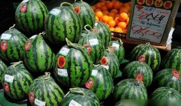 韩国网红echi吃瓜,揭秘娱乐圈幕后故事